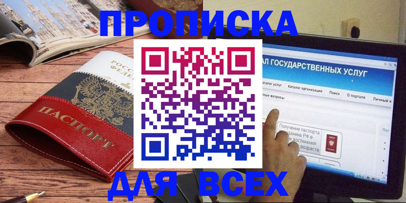 где прописаться в Шали